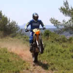 Laurent P