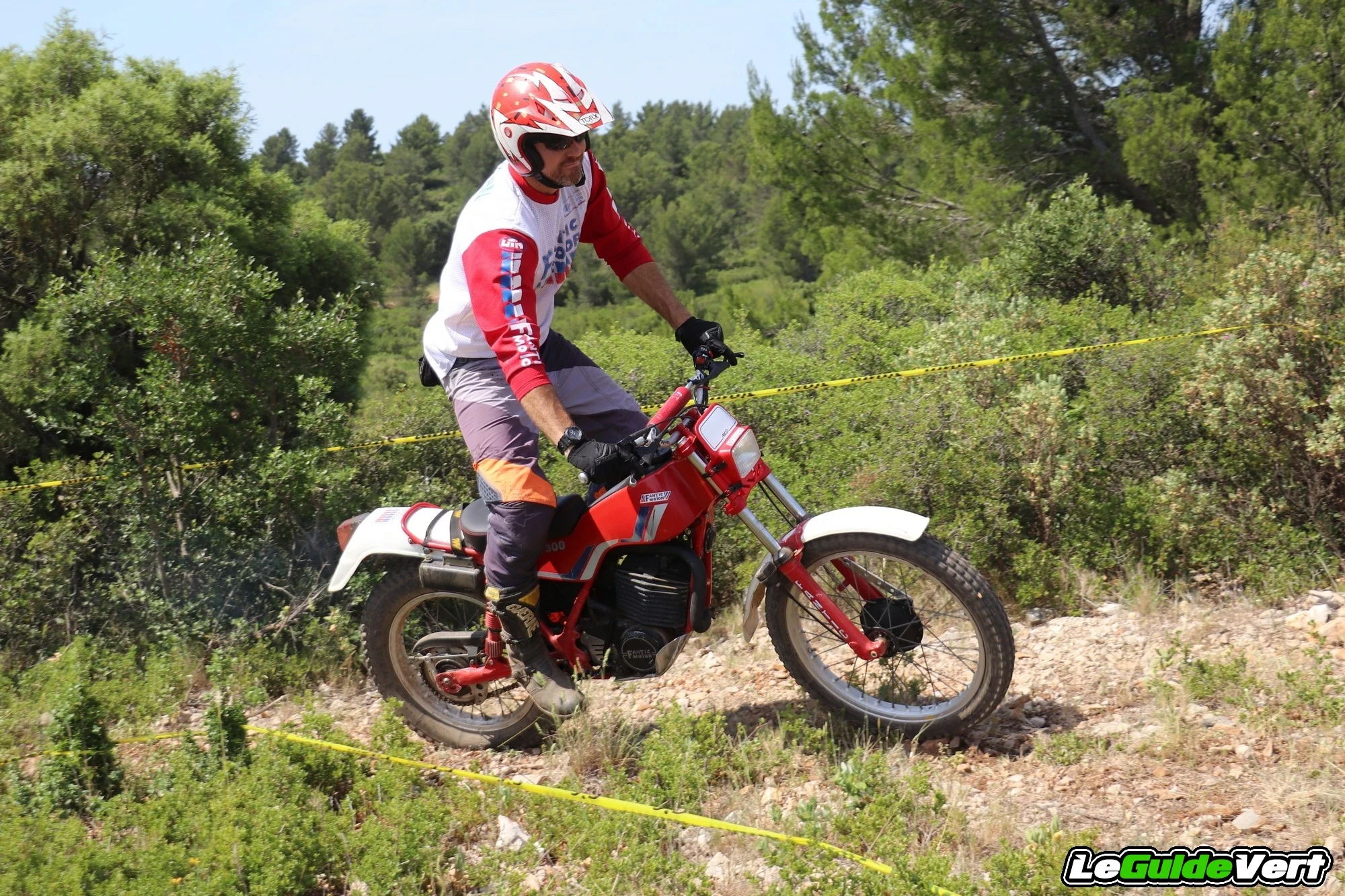 fd2_144.webp