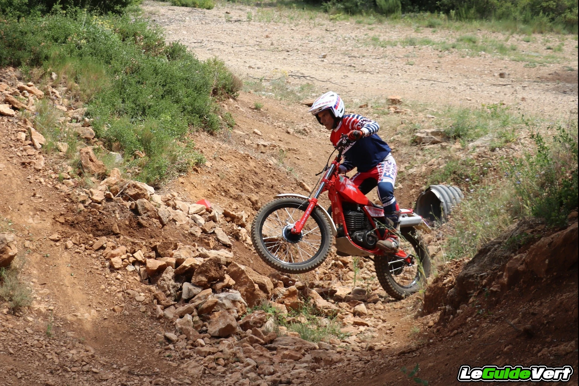 fd4_731.webp