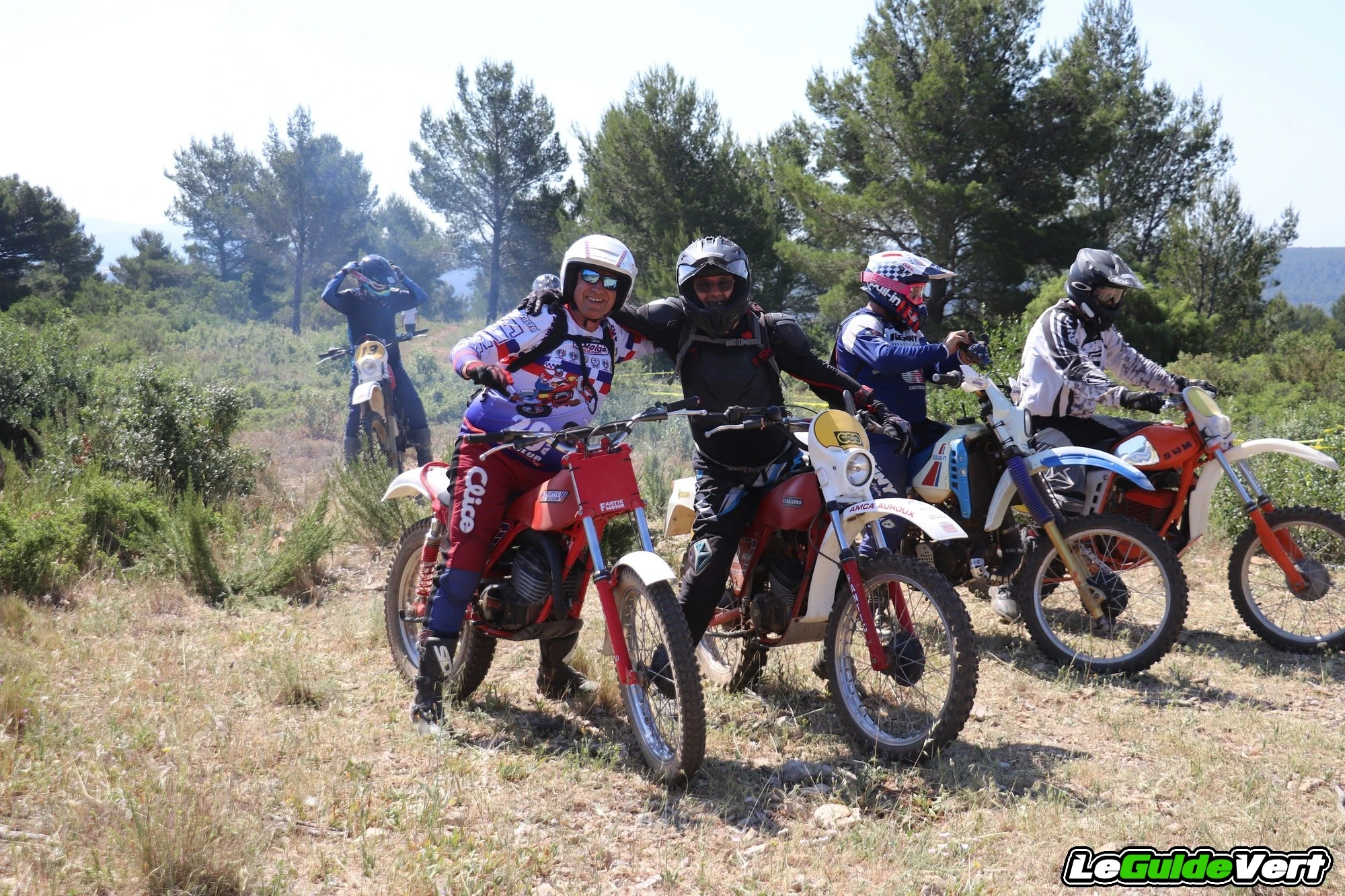 fd5_701.webp