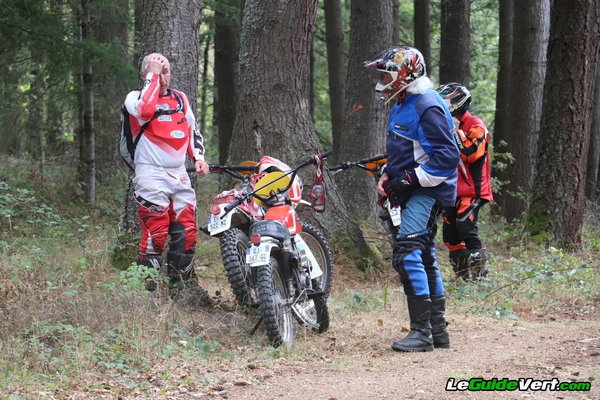 IMG_2413_293.webp