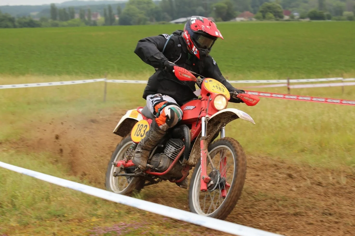 IMG_1993_220.webp