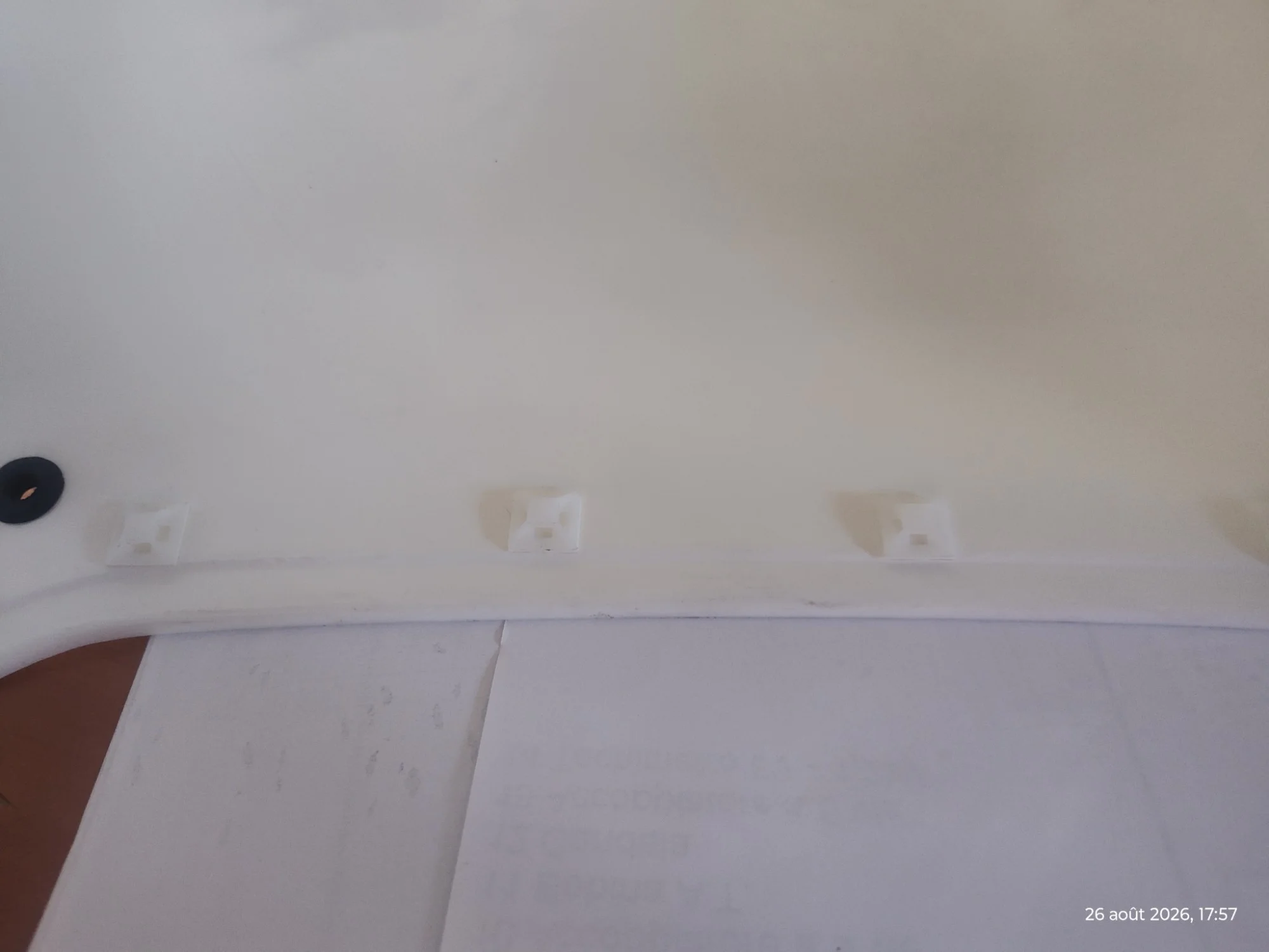 1000009350_211.webp